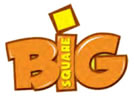 Big Square Logo
